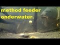 Karpervissen met de method feeder onderwater beelden./Carp fishing with a Method feeder underwater.