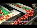 Phytocontrol agrifood le film 