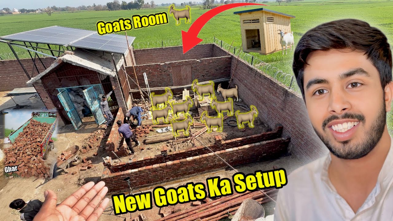 Goats Ke Ghar Ka Kaam Start Ho Gaya 🏡 Goats Farming 🐐