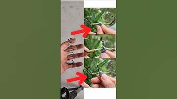 cách làm lưỡi lục _ lưỡi tam móng rồng #diyfishing  #luoiluc