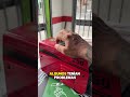 NO SE DEJEN ENGAÑAR