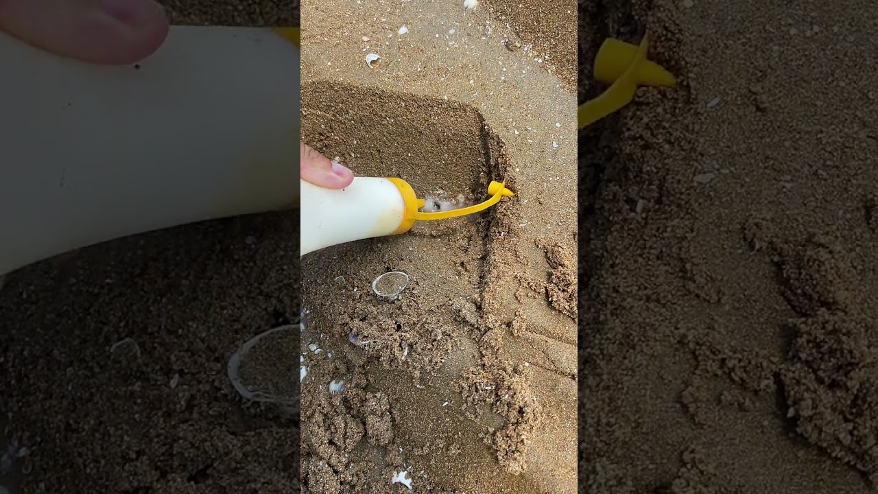 wow Amazing Big Eel Fishing 