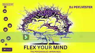 flex your mind (the psychedelic experience)