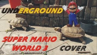 Super Mario World 3 Underground - cover - guitar & bass with turtles