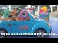 LPS: СЕСТРА АДЫ И ПЕТЫ СО ВСТРЕЧКИ