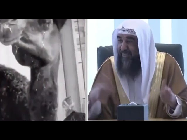 الشاة إن ⁧‫رحمتها‬⁩ رحمك الله | الشيخ ⁧‫سليمان الرحيلي‬⁩