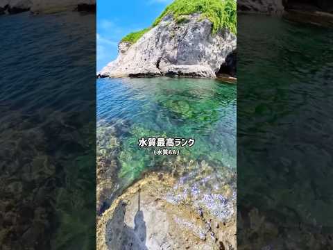関東から日帰りで行ける水質最高ランクの綺麗な海！ #shorts #子連れ #子連れお出かけ