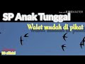 Suara Ini Untuk Memikat Burung Walet Sp Anak Tunggal Walet Suarapanggil 1tranding Omkicau(.mp3 .mp4) Mp3 - Mp4 Download