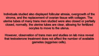 Transgender Pregnancy  Epi 04