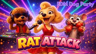 Rat Attack | DJ Toby vs Rat