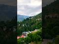 Powered by chai and mountain views ☕⛰️✨#near Narkanda
