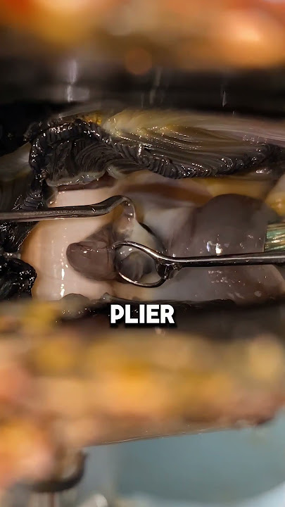 Watch How He Turns a Simple Pearl Into Thousands(@kamokapearl)