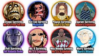 Every Plot Armor in One Piece Net Worth