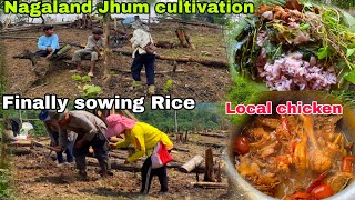 Finally sowing Rice at my Mom Field / Farmers Life in Village 