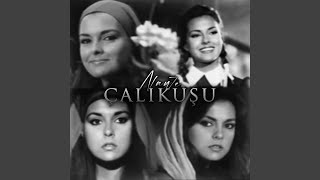 Çalıkuşu - nay7e.