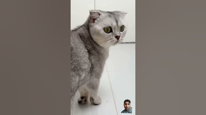 Black Magic 🪄 by Petkit Pura Max #cat #cats