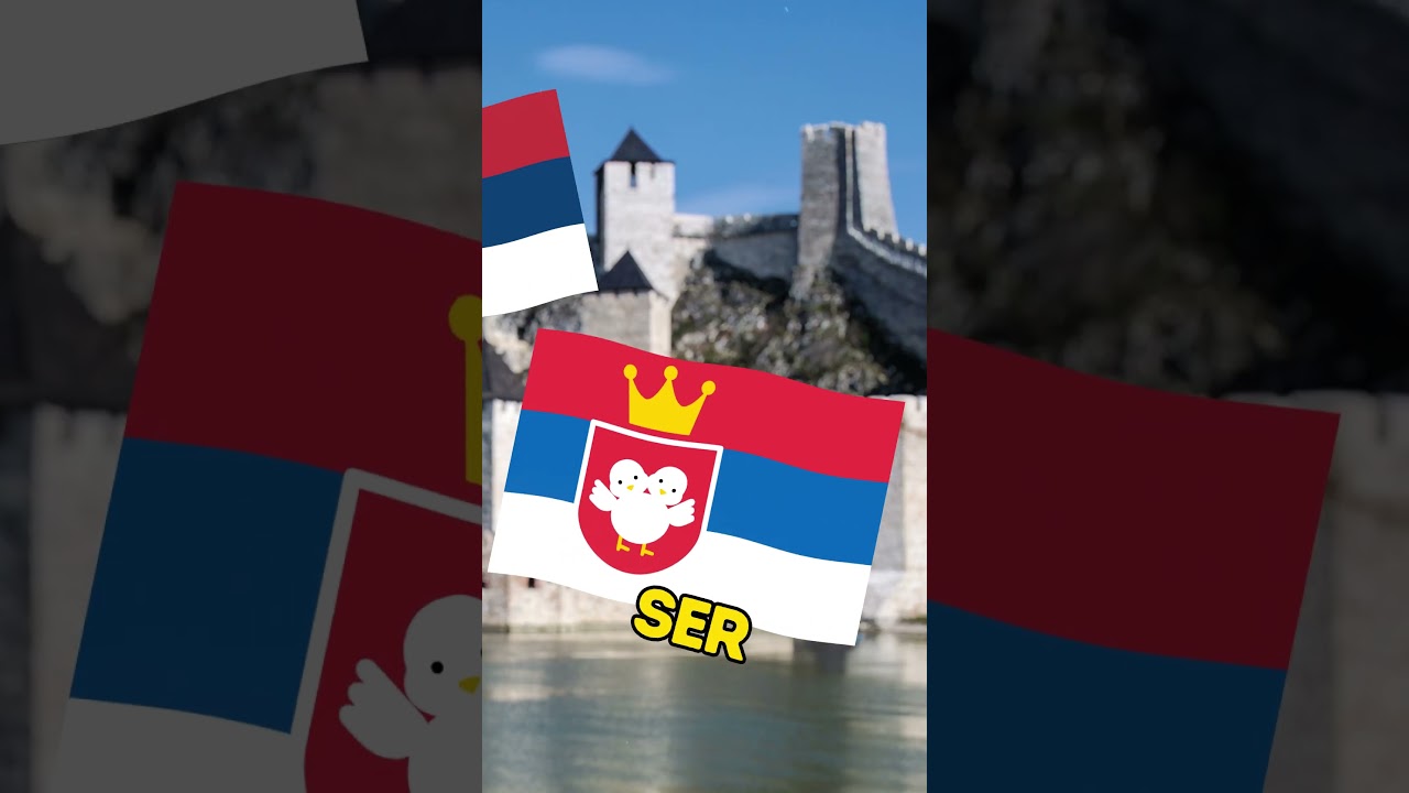 NEWBORN Country Flags!🐣