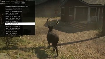 How To Install Lenny