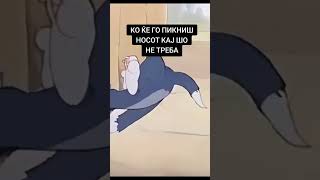 Ко ќе го пикниш носот кај шо не треба #goviral #dejannikolovski61 #viral #tiktok #fypシ