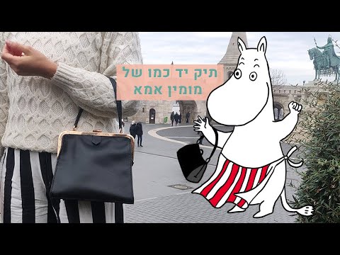 וִידֵאוֹ: כיצד להציל תיק עור?