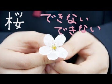 桜(川本真琴)　ギター 弾き語り