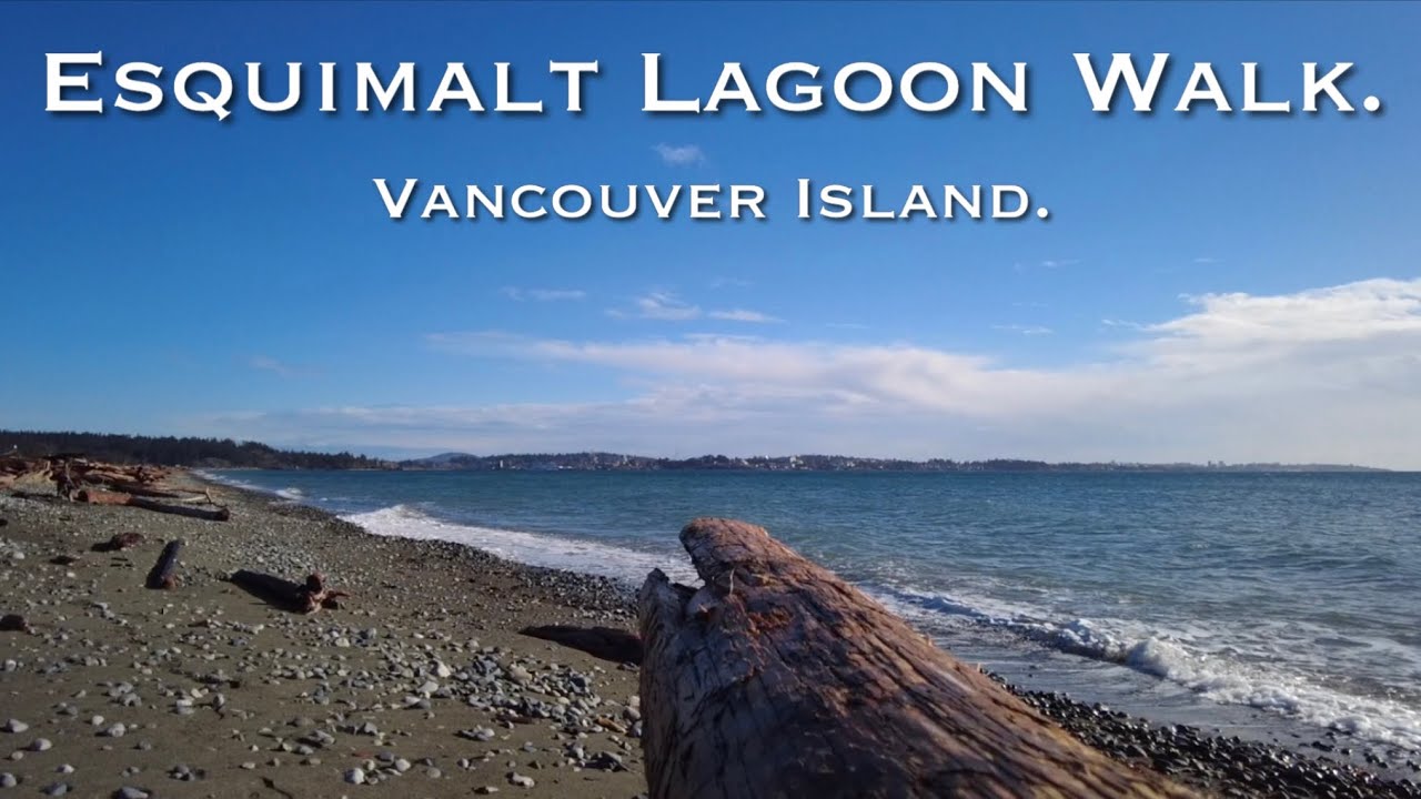 Esquimalt Lagoon on a beautiful sunny winters day on Vancouver Island.