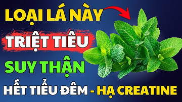 Loại lá giúp TIÊU DIỆT suy thận, hạ creatinine, hết tiểu đêm, nước tiểu trong, ngủ ngon sâu giấc
