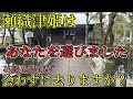 ⚠️瀬織津姫に選ばれました！ご縁を結べるのは今だけです！【静岡県三島市大宮町 三嶋大社】