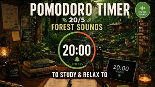 Calm Forest Sounds (No Music) - Study Pomodoro Timer | 20/5 | 4 Hours