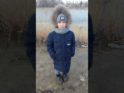 Литературное чтение 2