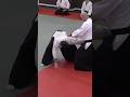 片手取り回転投げ #合気道 #aikido