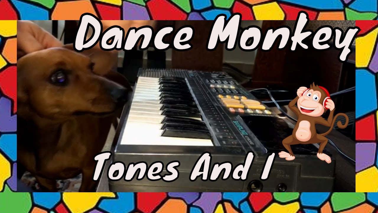*SONG - Dance Monkey (Tones and I) - YouTube Music