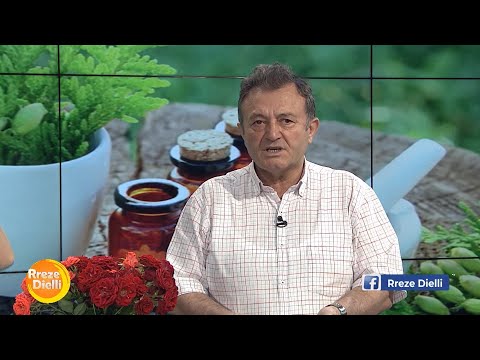 Video: A kanë arkegonia bishtat e kalit?