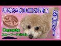 【効果絶大！】犬の早食い防止皿を使ってみた(スローフードボウル)