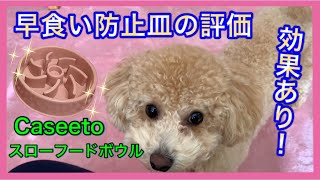 【効果絶大！】犬の早食い防止皿を使ってみた(スローフードボウル)