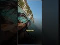 Traplaudo - Prévia 2025 #funk #clipes #viral #musica #react #clips #funkbrasil #traplaudo #musica