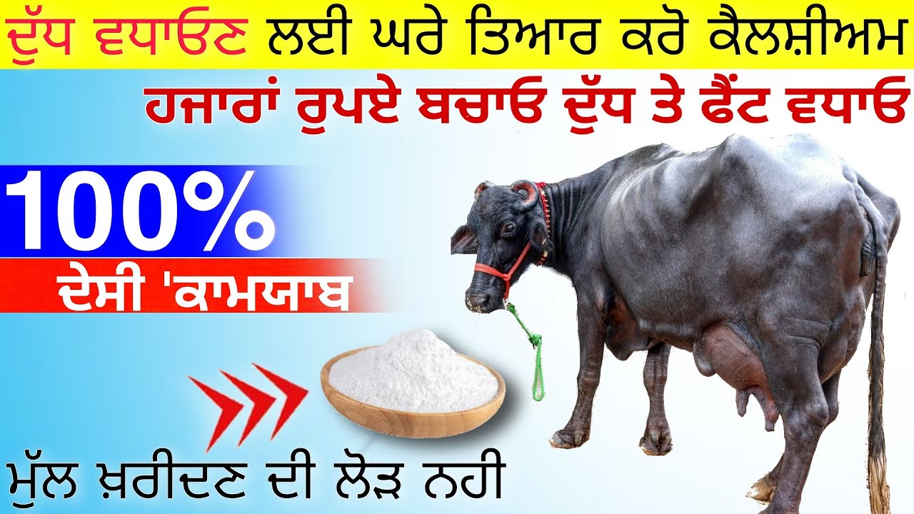 Dudh badhane ka formula || dairy farming | agri advice