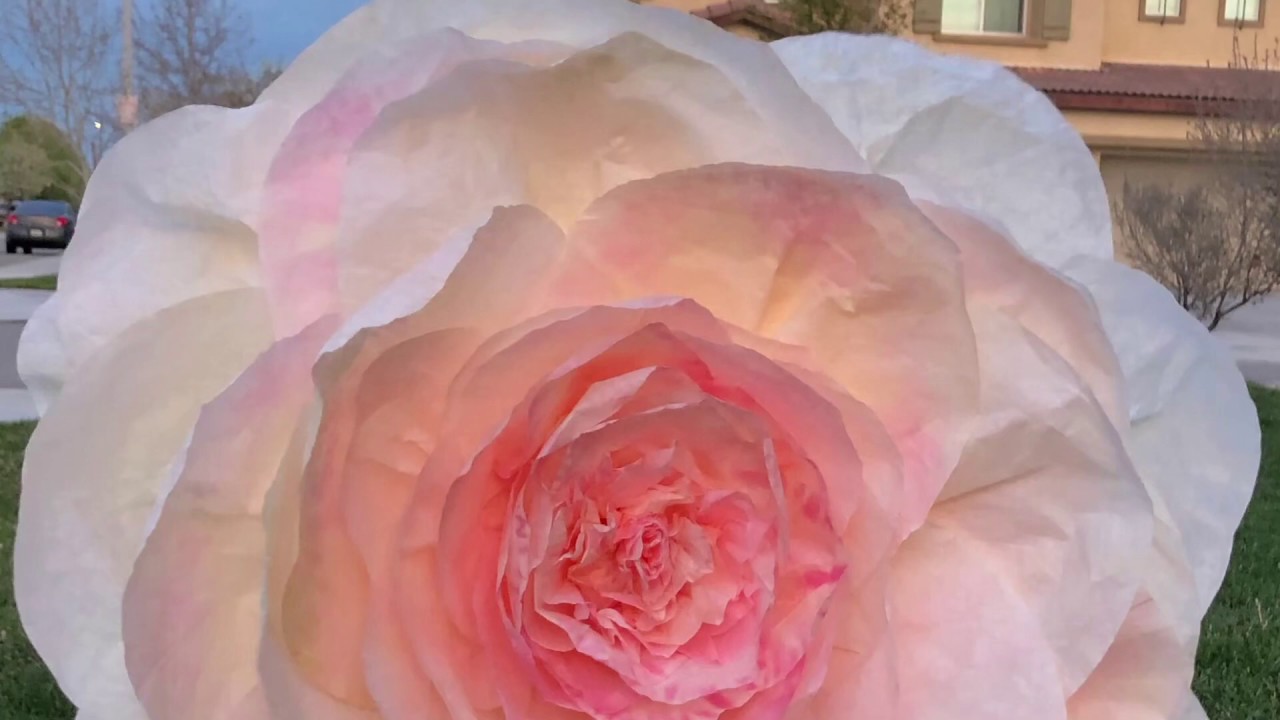 DIY TUTORIAL How to make a large coffee filter flower YouTube
