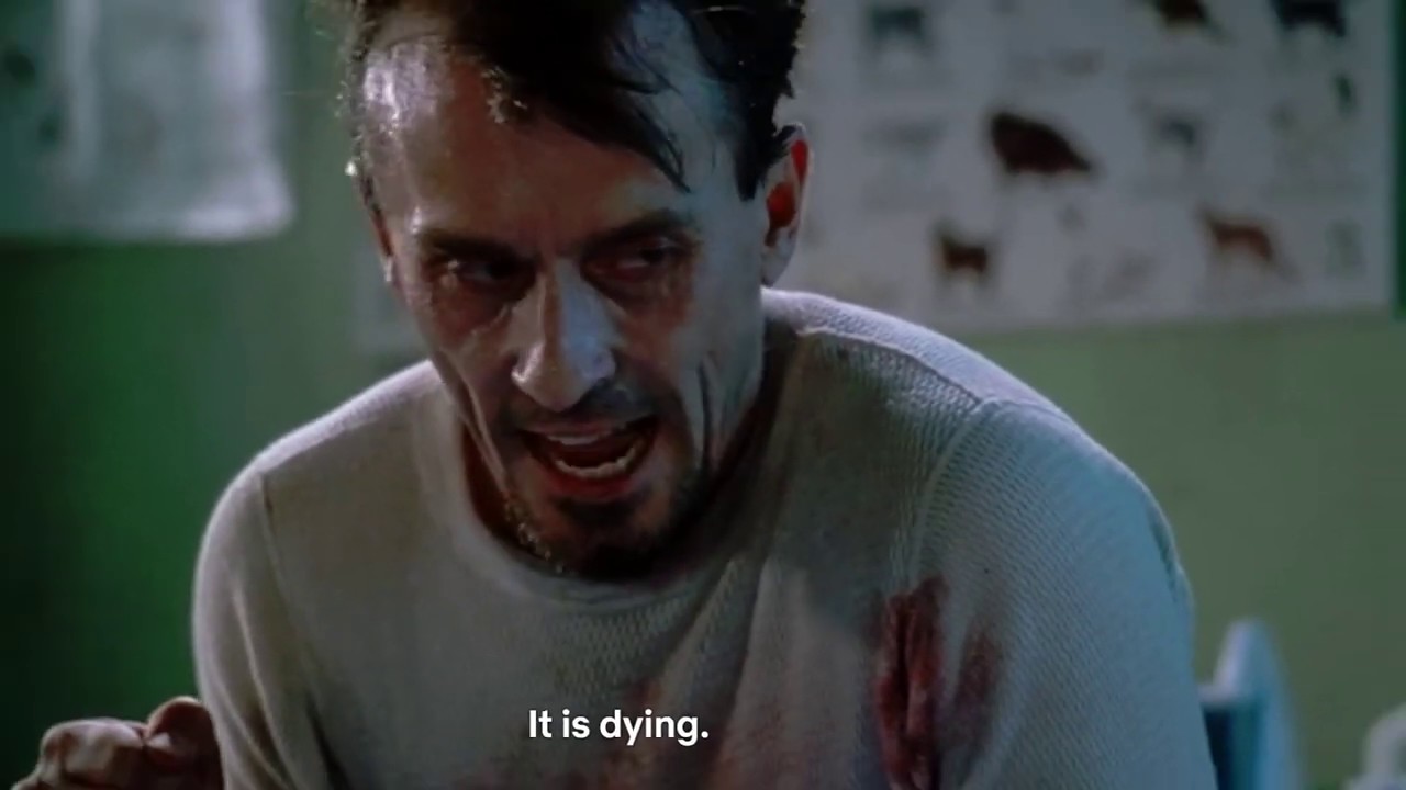 Tbag goes to veterinary surgeon YouTube