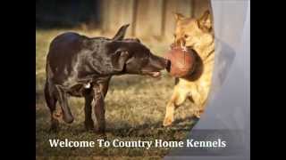 Country Home Kennels - Dawsonville Doggy Daycare - Dog Boarding