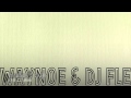 WAYNOE & DJ FLE - O si a'u amio