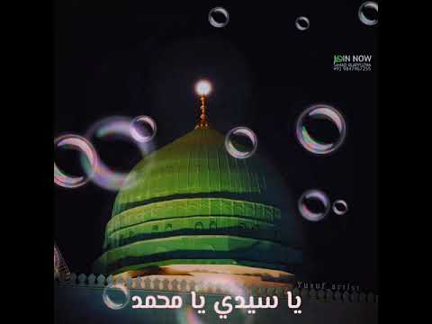 قلبي المتيم 