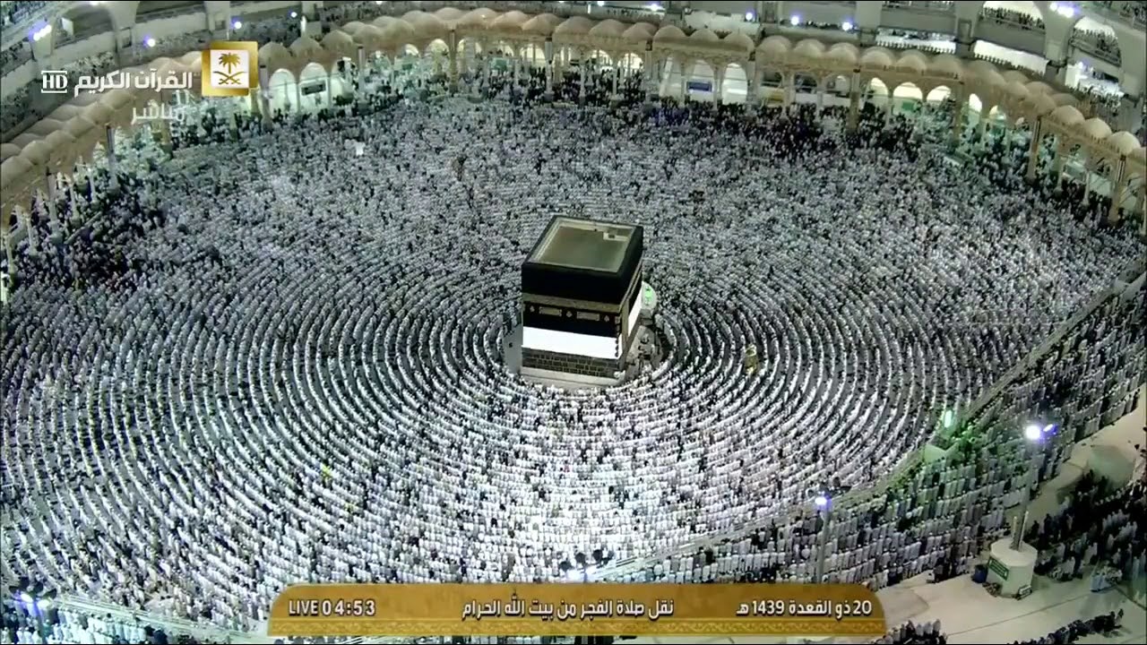 تلاوة تسلُب الآلباب من الشيخ د. ماهر المعيقلي لما تيسّر من سـورة الحج | فجر الخميس ٢٠-١١-١٤٣٩هـ