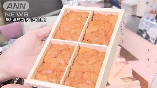 北海道の赤潮でウニ値上げ　物産展やすしネタに影響(2021年10月20日)