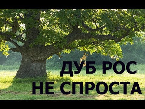 Видео: КОГДА ВЫКОПАЛ- БРОСИЛО В ЖАР!!!