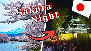 Takada Castle Sakura Japan's Most Stunning Bloom