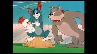 Tom And Jerry - Slicked Up Pup