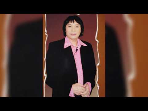 Tân Cổ Những Đồi Hoa Sim Minh Vương Lệ Thủy