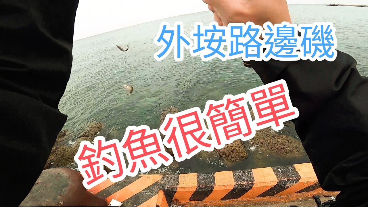 (EP47)澎湖外垵新港釣遊/磯釣/象魚/臭肚/練餌 