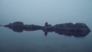 Nowhere - Anne-Viktoria | Luis Mesa (Shortfilm)